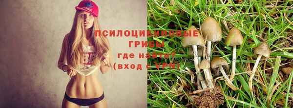 дурь Алзамай